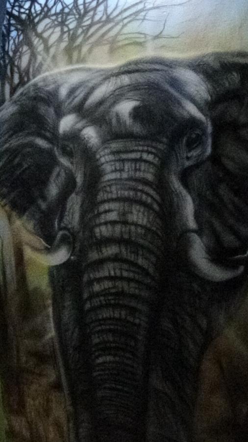 Pousada Encanto E Magia Sao Tome das Letras Luaran gambar